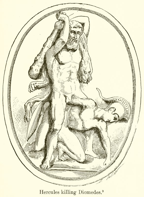 Hercules tappaa Diomedesin tekijältä English School