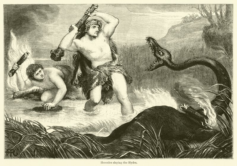 Hercules surmaamassa hydran (kaiverrus) tekijältä English School