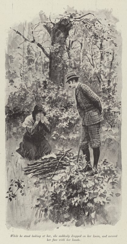 Hänen hyvä keiju, kirjoittanut Mary Elizabeth Braddon (litho) tekijältä English School