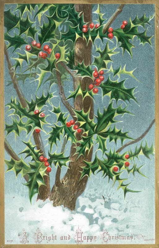Holly Tree, joulukortti tekijältä English School