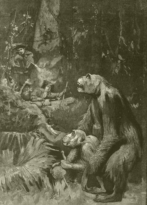 Gorillan koti (kaiverrus) tekijältä English School