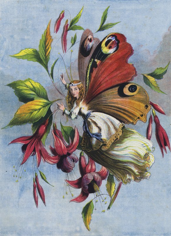 Miten Lady Butterfly vietti päivänsä (värilitografia) tekijältä English School