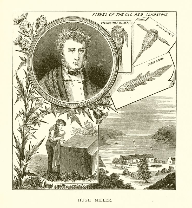 Hugh Miller tekijältä English School