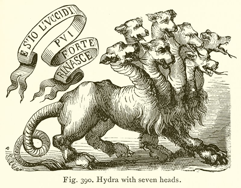 Hydra seitsemällä päällä tekijältä English School