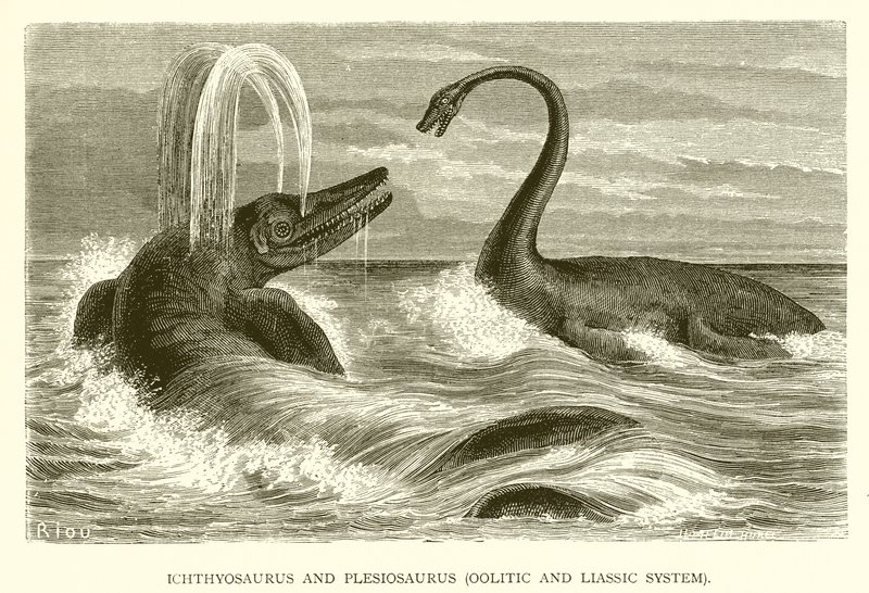 Ichthyosaurus ja Plesiosaurus, Oolitic ja Liassic System tekijältä English School
