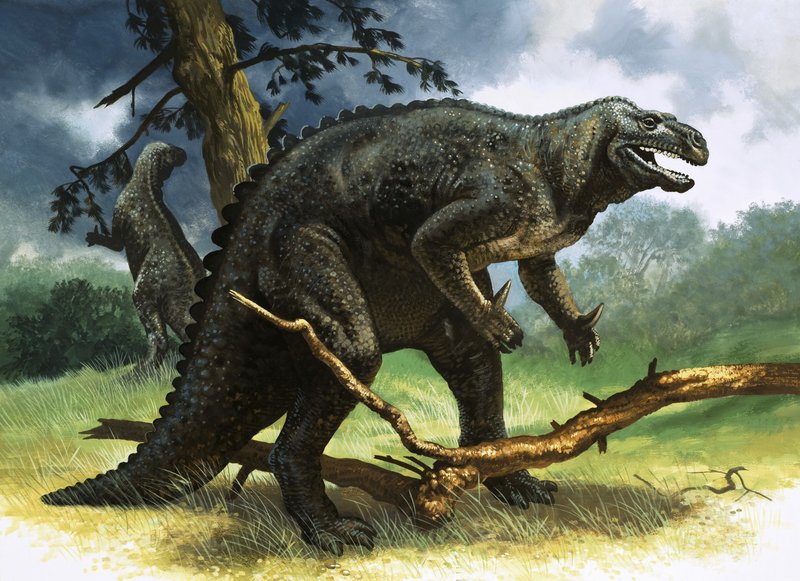 Iguanodon tekijältä English School