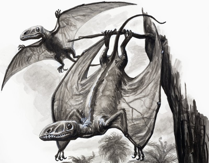 Sa Mga Araw ng Mga Dinosaur: Mga Mangangaso Mula sa Isang Heightfinn tekijältä English School