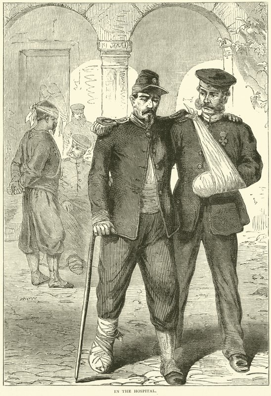 Sairaalassa marraskuussa 1870 tekijältä English School