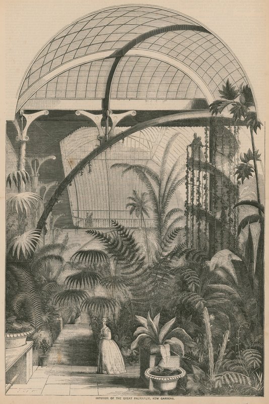 Great Palmarum, Kew Gardens, Lontoo, sisustus tekijältä English School