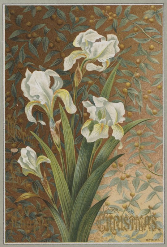 Iris (kromoliittinen) tekijältä English School