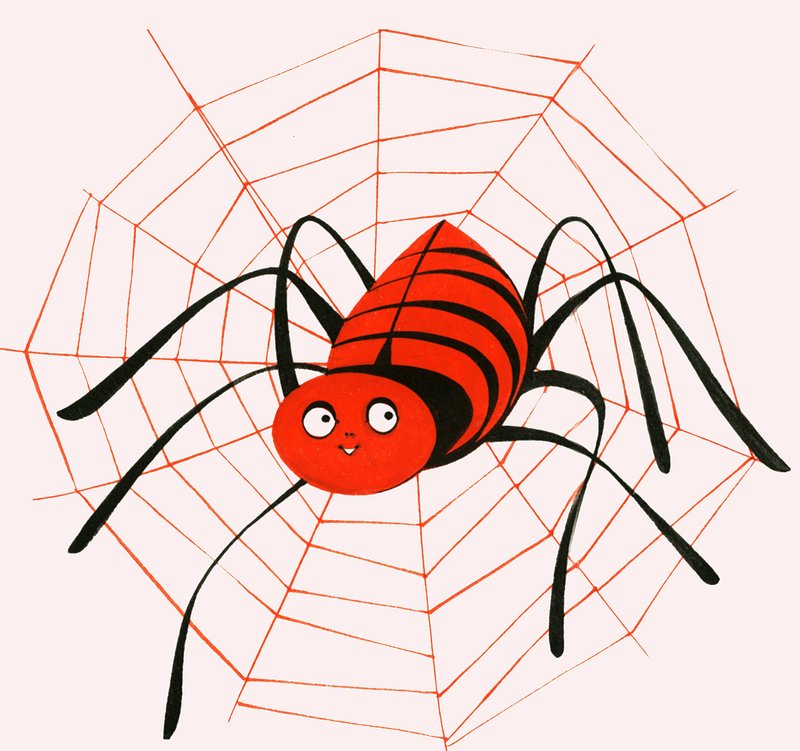 Sensy Bitsy Spider tekijältä English School