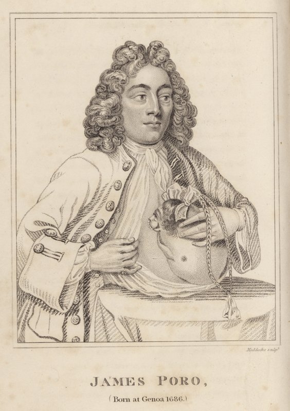 James Poro, syntynyt Genovassa 1686 tekijältä English School