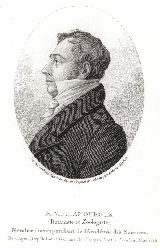Jean Vincent Felix Lamouroux tekijältä English School
