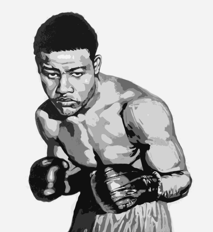 Joe Louis, raskaansarjan maailmanmestari yksitoista vuotta tekijältä English School