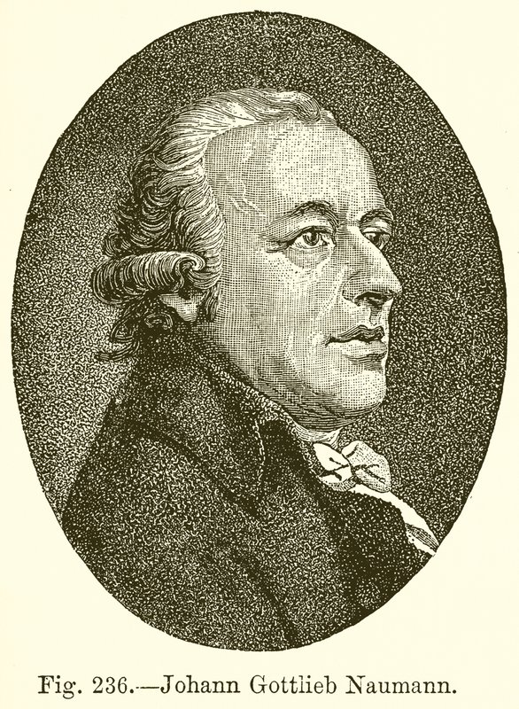 Johann Gottlieb Naumann tekijältä English School