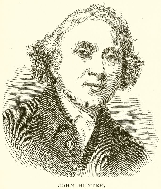 John Hunter tekijältä English School
