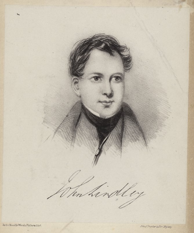 John Lindley tekijältä English School