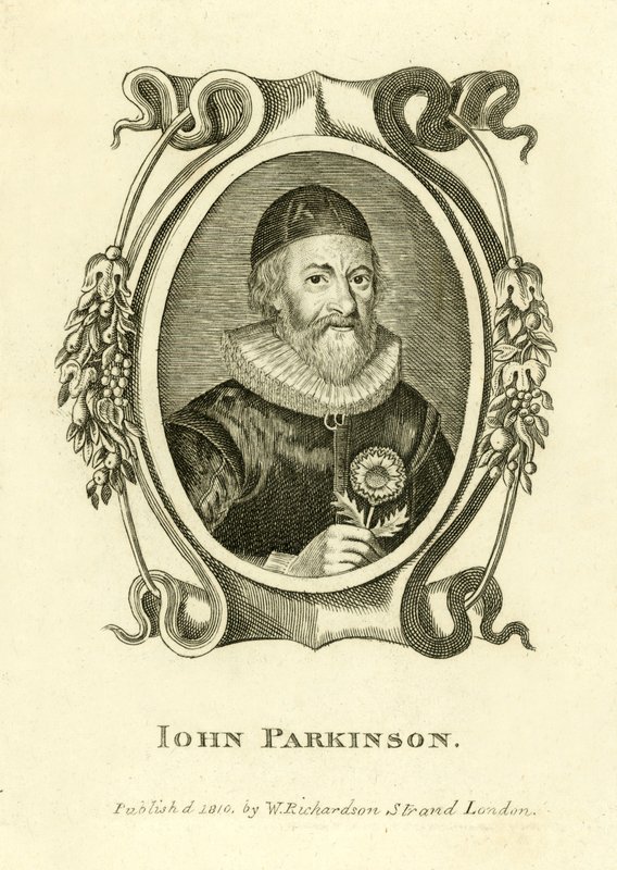 John Parkinson tekijältä English School