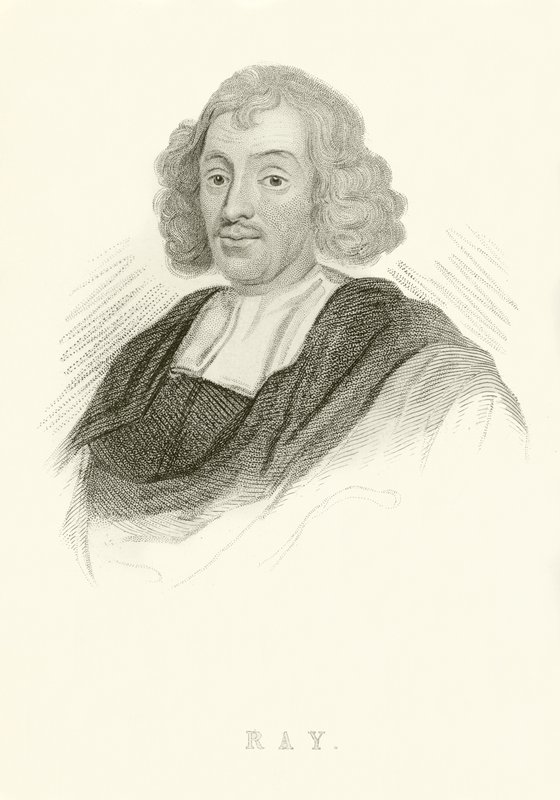 John Ray tekijältä English School