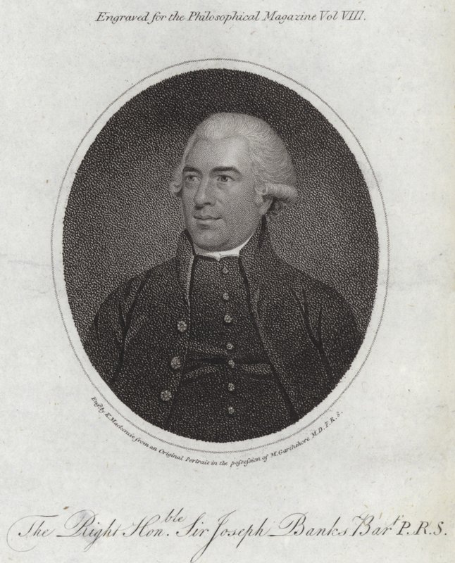 Joseph Banks tekijältä English School