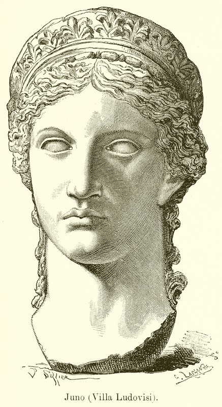 Juno (Villa Ludovisi) tekijältä English School