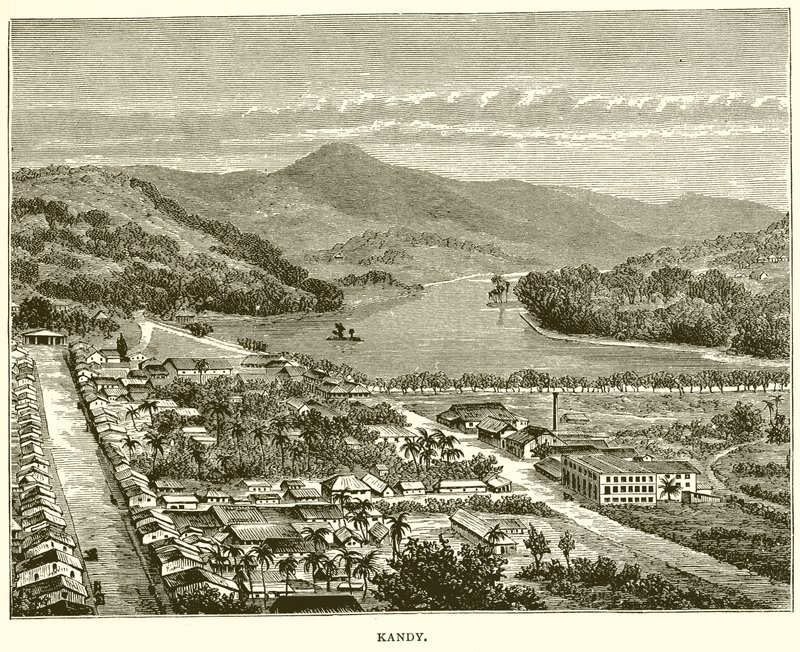 Kandy tekijältä English School