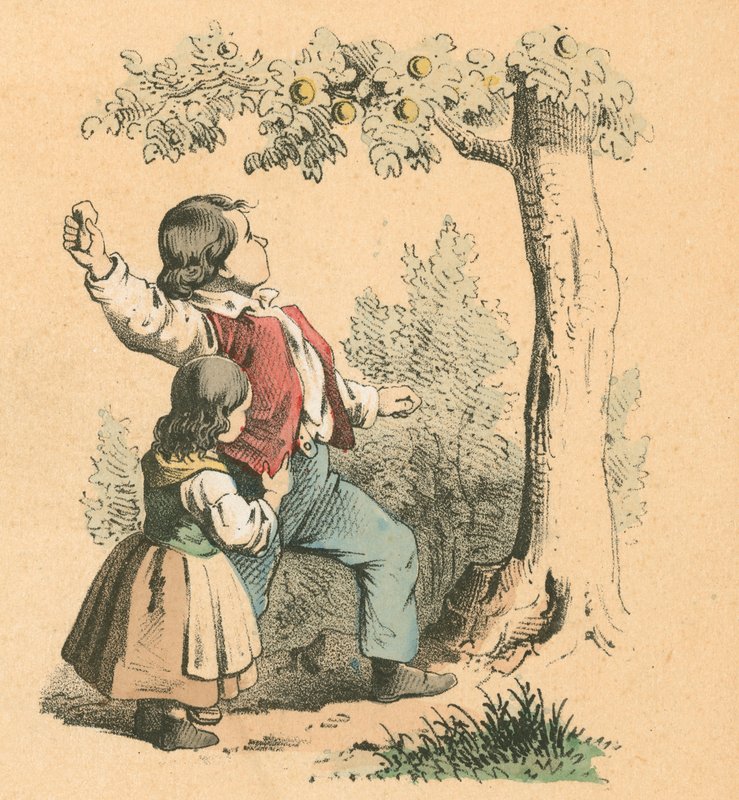 Hedelmien kaataminen tekijältä English School