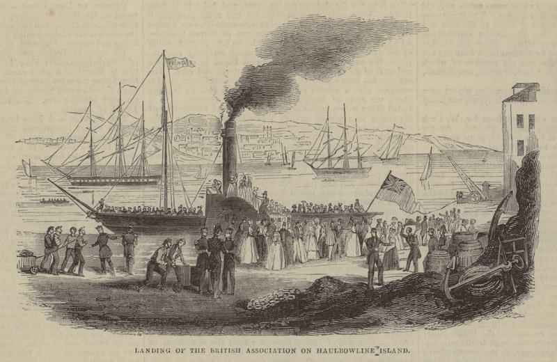 British Associationin laskeutuminen Haulbowline Islandille tekijältä English School