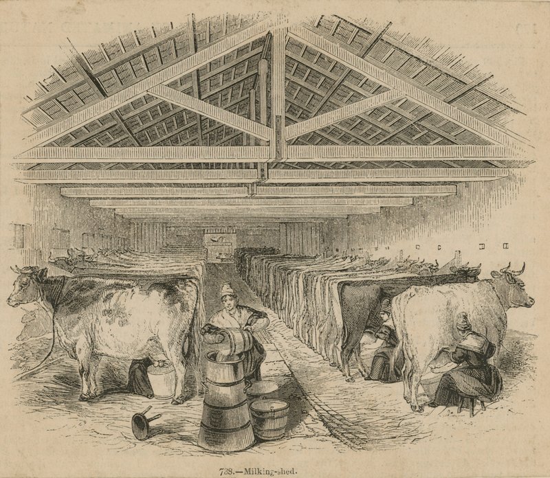 Laycocks Dairy Farm, päivätty heinäkuussa 1841 tekijältä English School