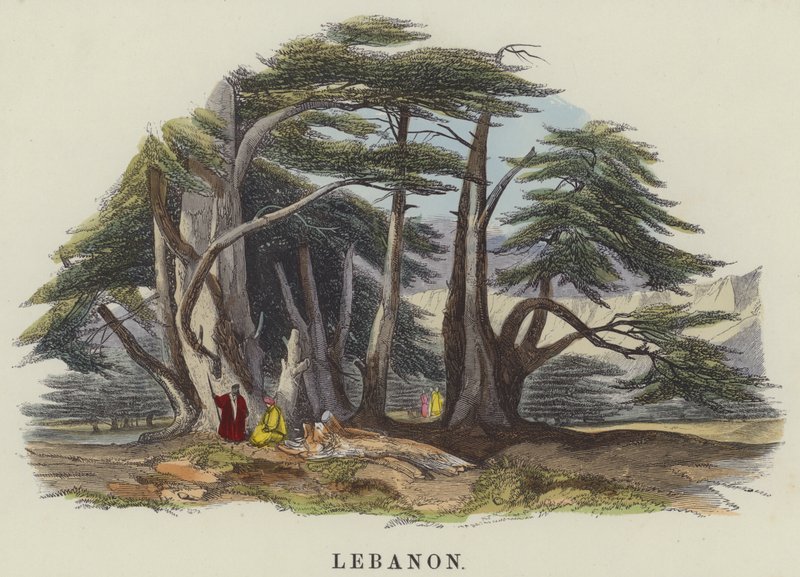 Libanon (värillinen kaiverrus) tekijältä English School