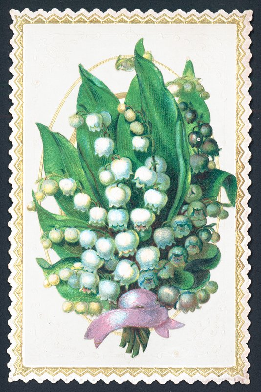 Lily Of The Valley Plant, kortti tekijältä English School