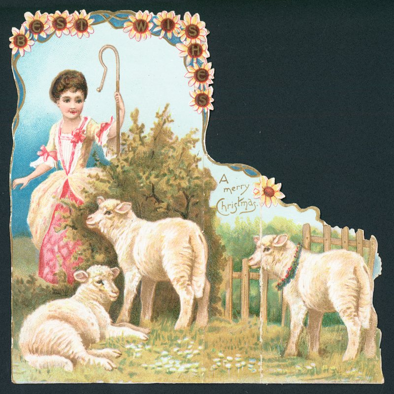 Pikku Bo Peep, joulukortti tekijältä English School