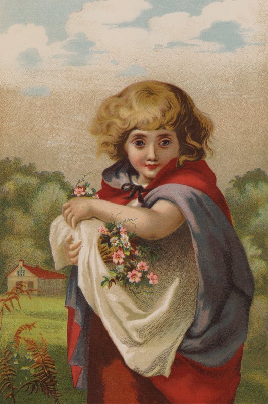Little Forget-Me-Not (chromolitho) tekijältä English School