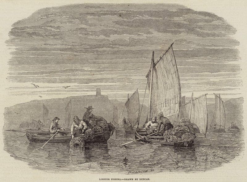 Pesca de llagosta (gravat) finlandès tekijältä English School