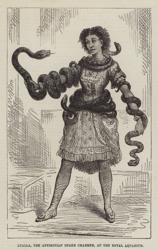 Lualla, Abessinian Snake Charmer, Royal Aquariumissa (kaiverrus) tekijältä English School