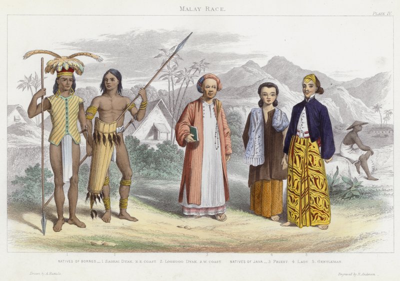 Malay Race (värillinen kaiverrus) tekijältä English School