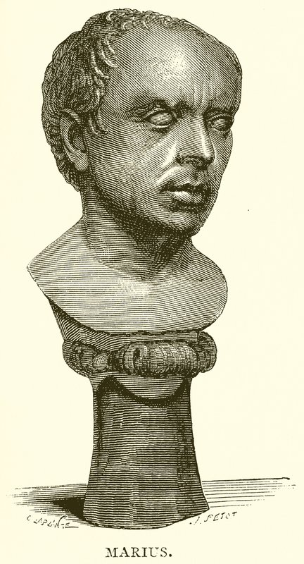 Marius tekijältä English School