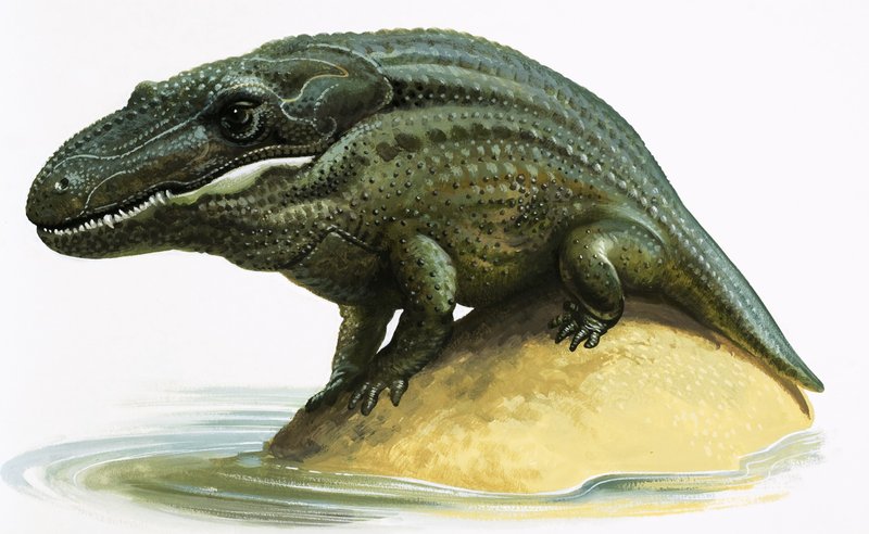 Mastodonsaurus tekijältä English School