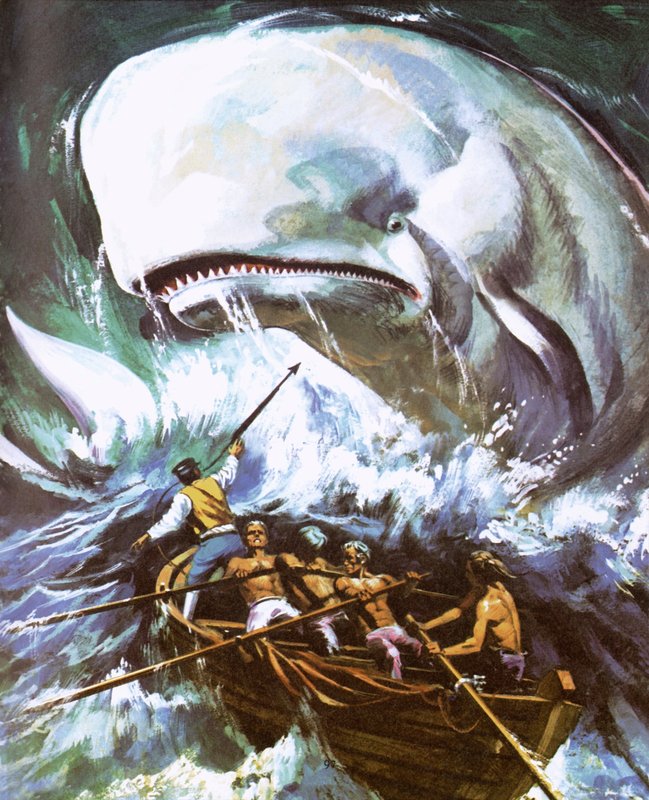 Moby Dick tekijältä English School