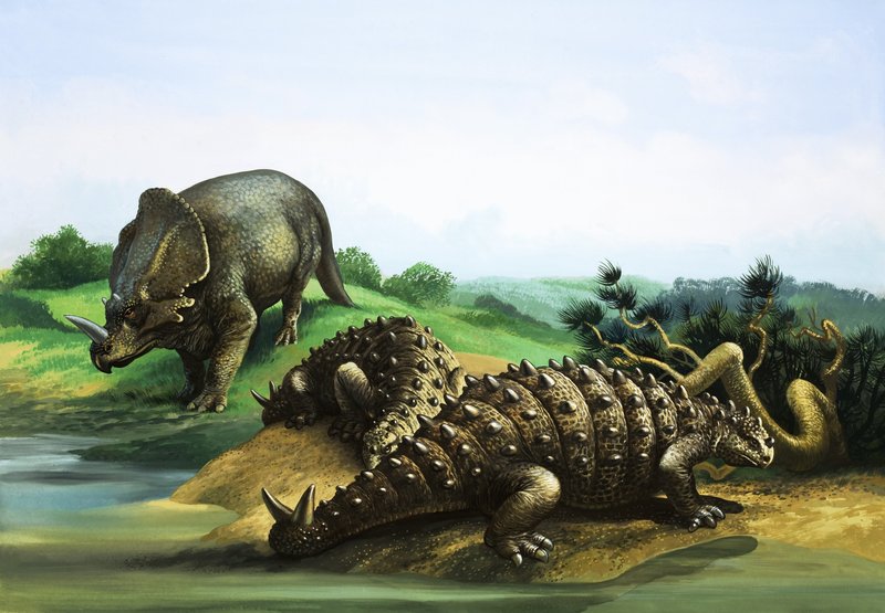 Monoclonius ja Scolosaurus tekijältä English School