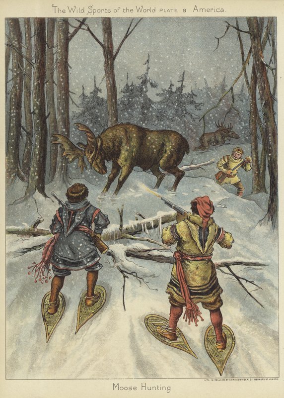 Hirven metsästys tekijältä English School