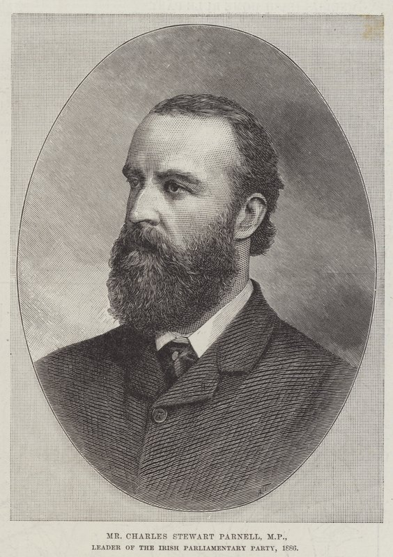 Charles Stewart Parnell, kansanedustaja, Irlannin parlamentaarisen puolueen johtaja tekijältä English School