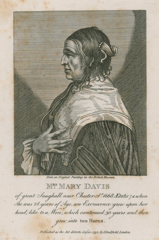 Rouva Mary Davis suuresta Saughallista lähellä Chesteriä, 1668 tekijältä English School