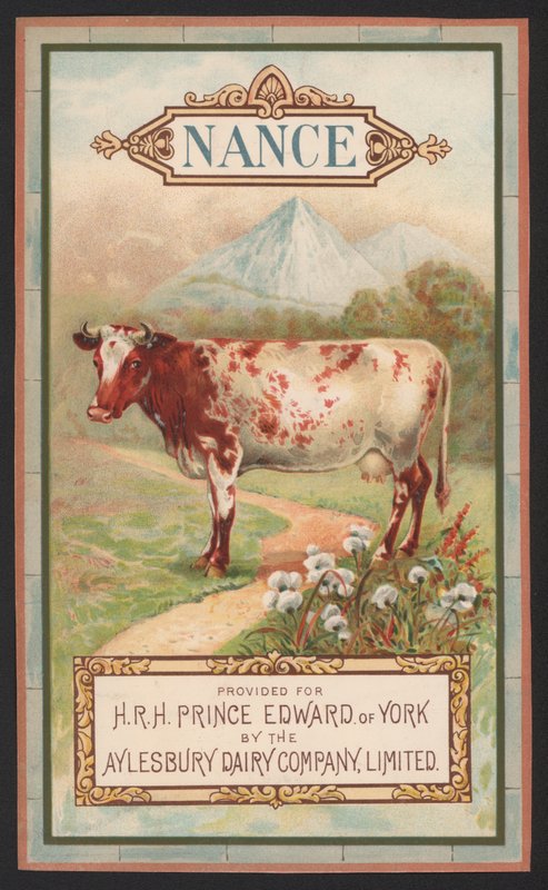 Nance, Aylesbury Dairy Companyn mainos tekijältä English School