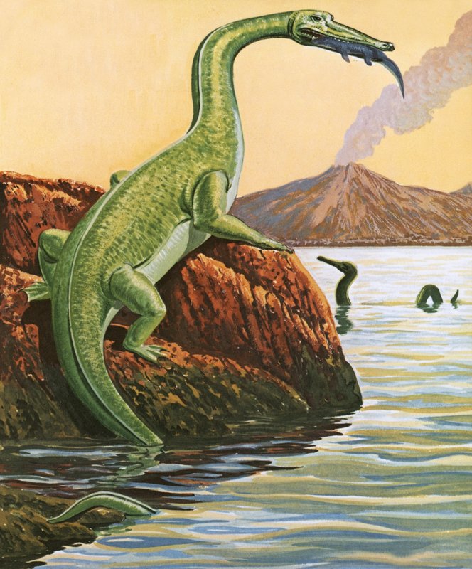 Nathosaurus syömässä tekijältä English School