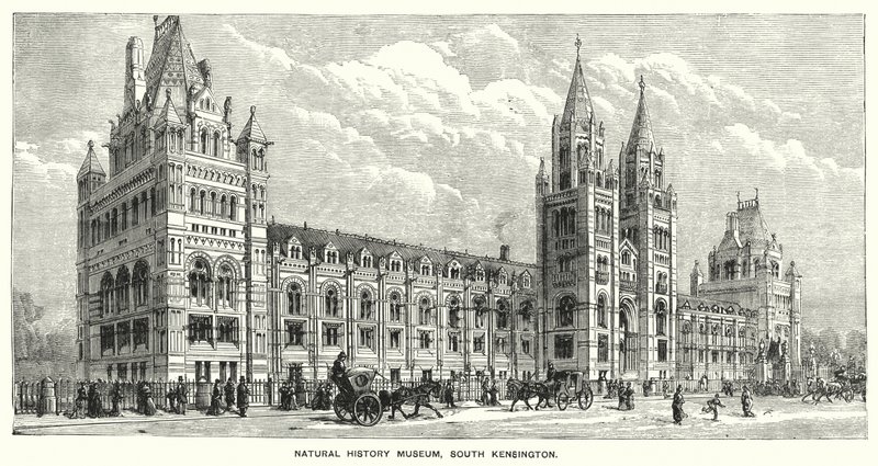 Natural History Museum, South Kensington (kaiverrus) tekijältä English School