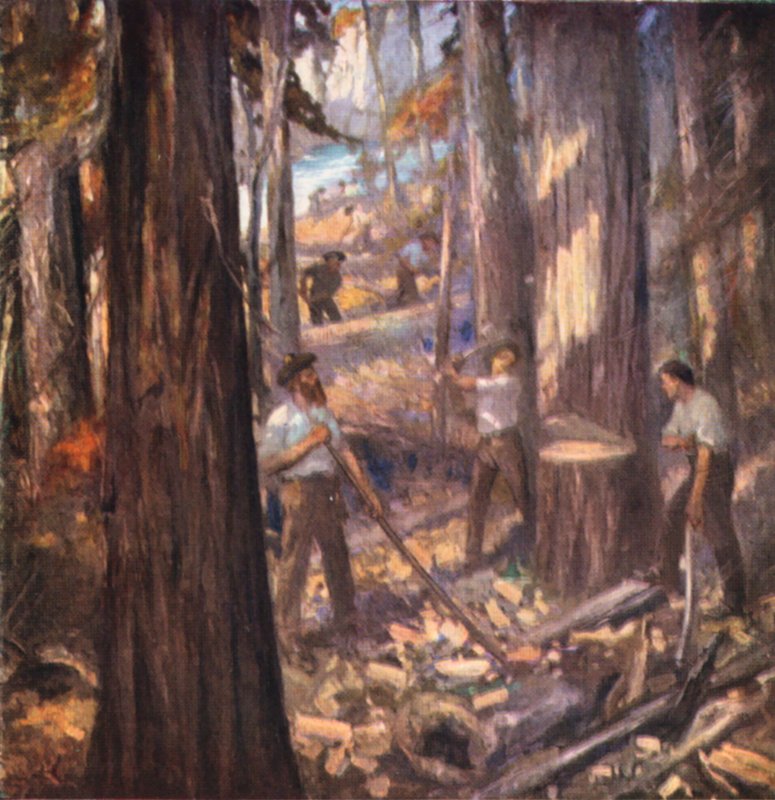 New Brunswick, William Davidson, Kanadan ensimmäinen puutavaramies, leikkaa mastoja Britannian laivastolle (värilitografia). tekijältä English School