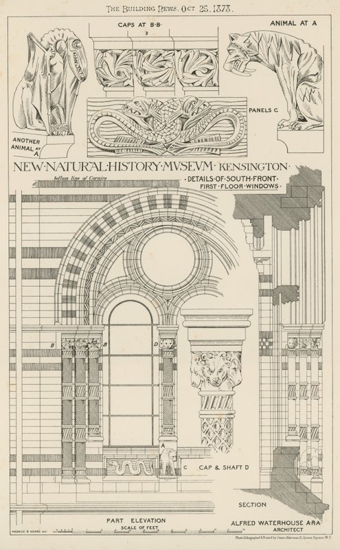 New Natural History Museum, South Kensington, Lontoo tekijältä English School