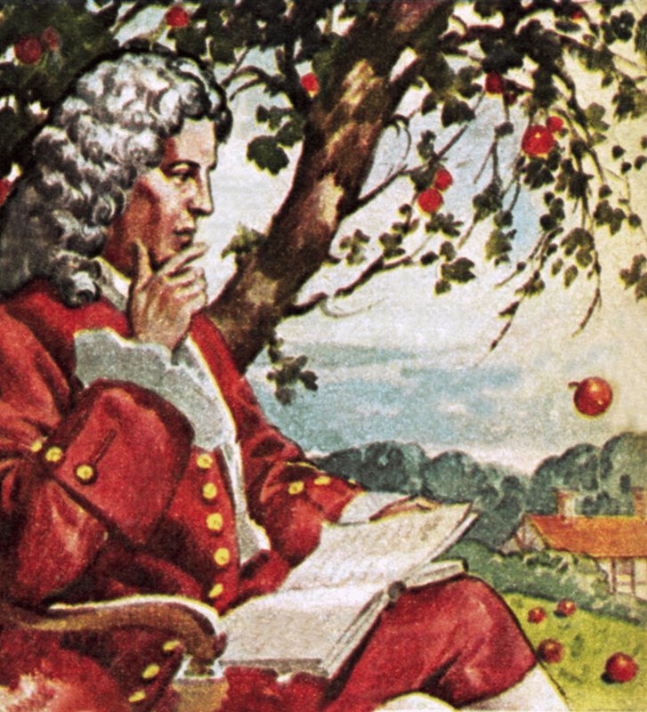Newton katsomassa omenoiden putoamista tekijältä English School