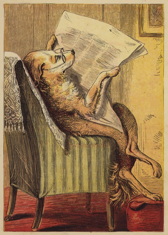 Old Mother Hubbard (värillinen kaiverrus) tekijältä English School